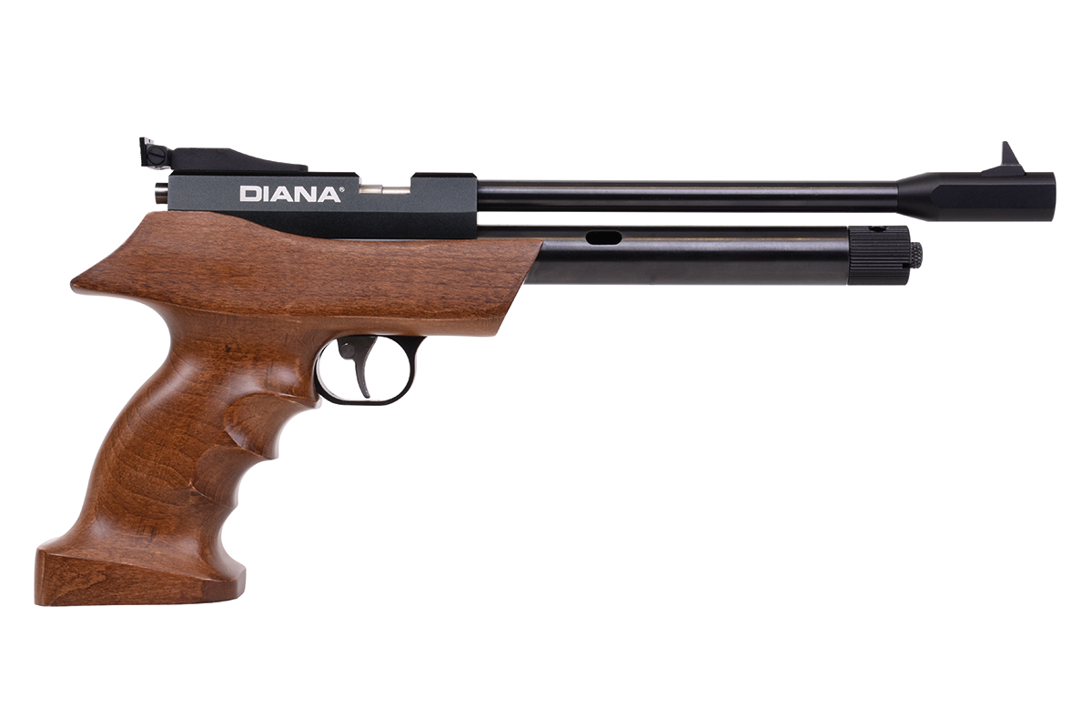 DIANA airbug
